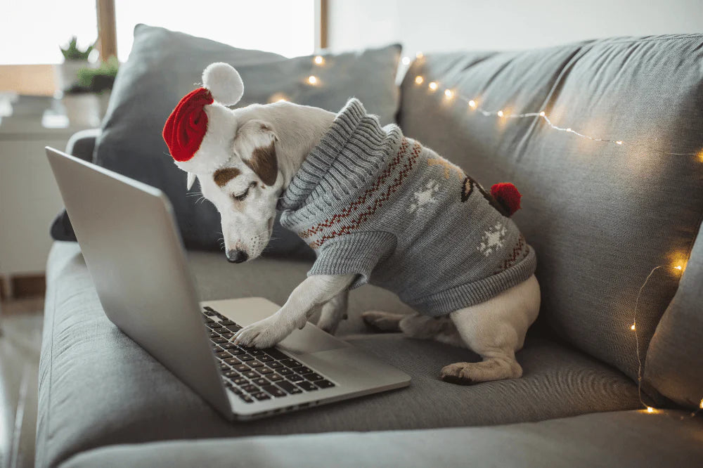 ADVANTAGES OF PURCHASING PET PRODUCTS ONLINE