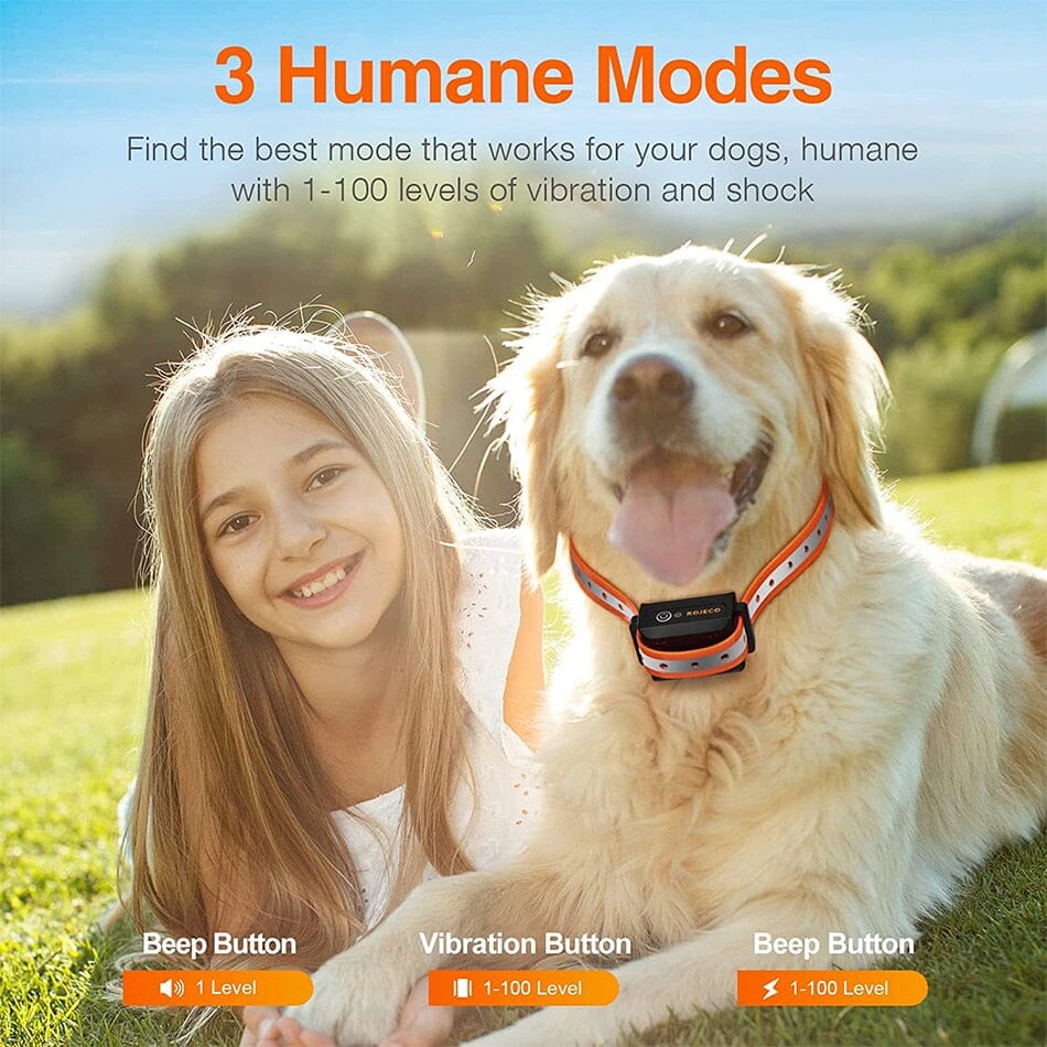 1000m Electric Dog Training Remote Control Collar 0 Barking Bears