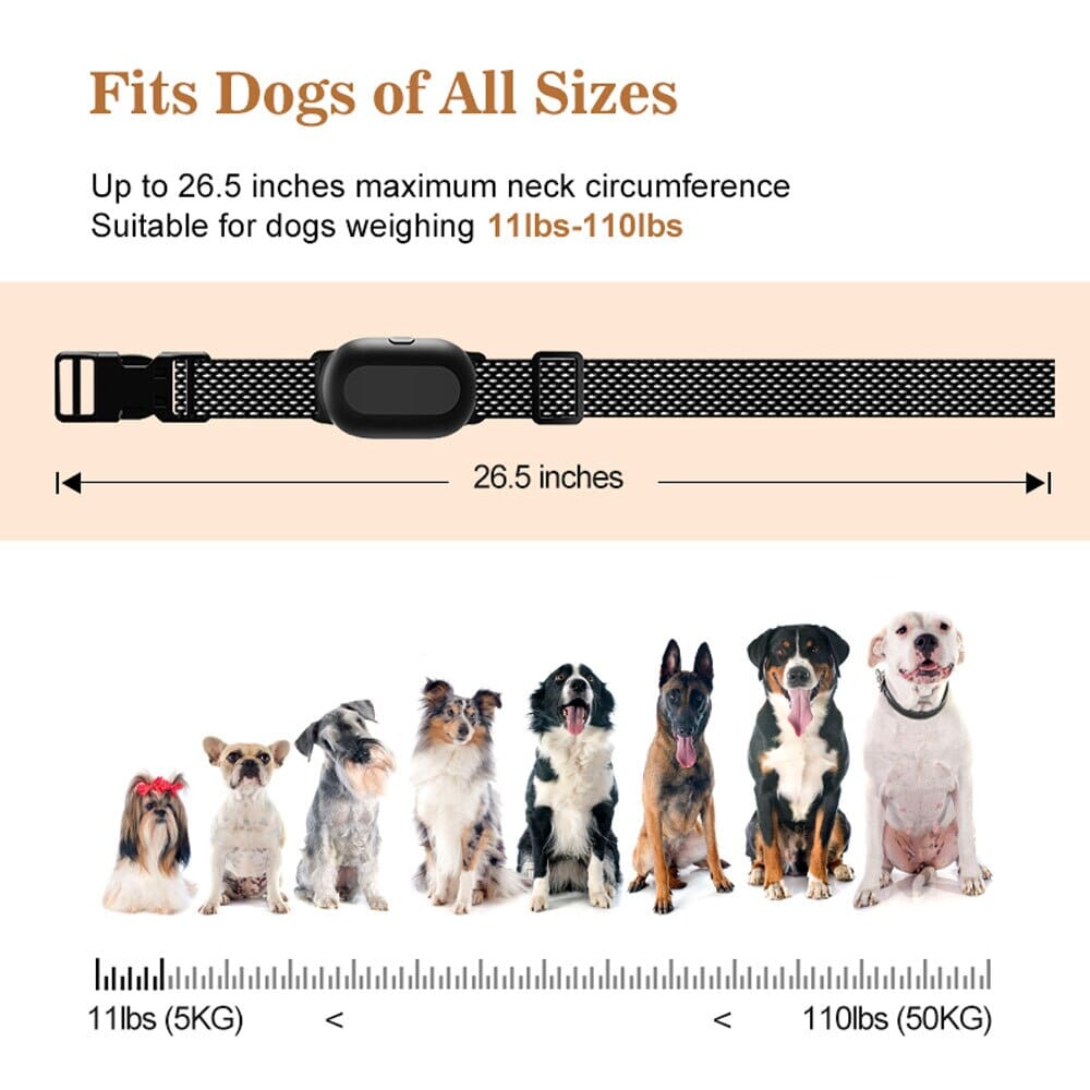 1300ft Remote Dog Training Collar 0 Barking Bears