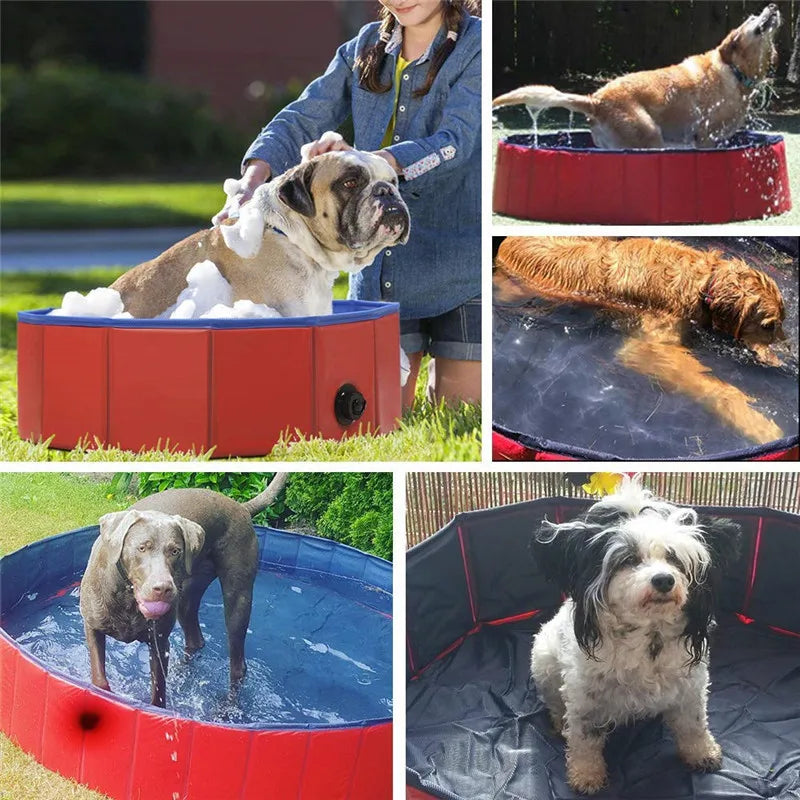 PoochPlunge  Oasis