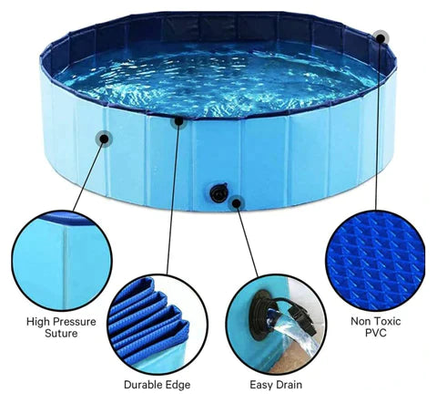 PoochPlunge  Oasis