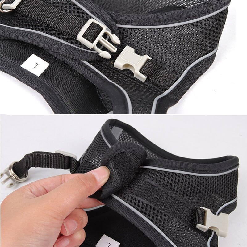 Adjustable Puppy Cat Harness Vest Walking Lead Leash 0 My Store