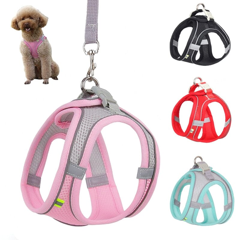 Adjustable Puppy Cat Harness Vest Walking Lead Leash 0 My Store