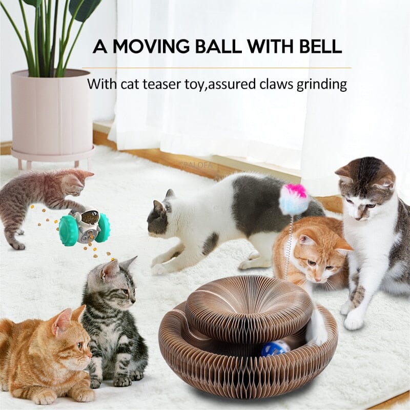 Cat Magic Organ Scratching Board Toys With Catnip Ball 0 My Store
