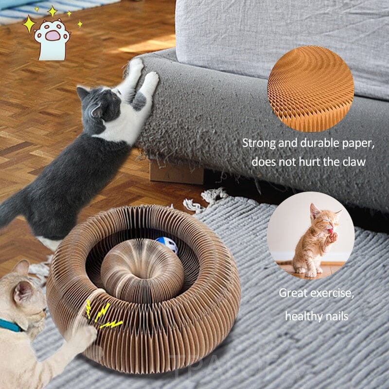 Cat Magic Organ Scratching Board Toys With Catnip Ball 0 My Store
