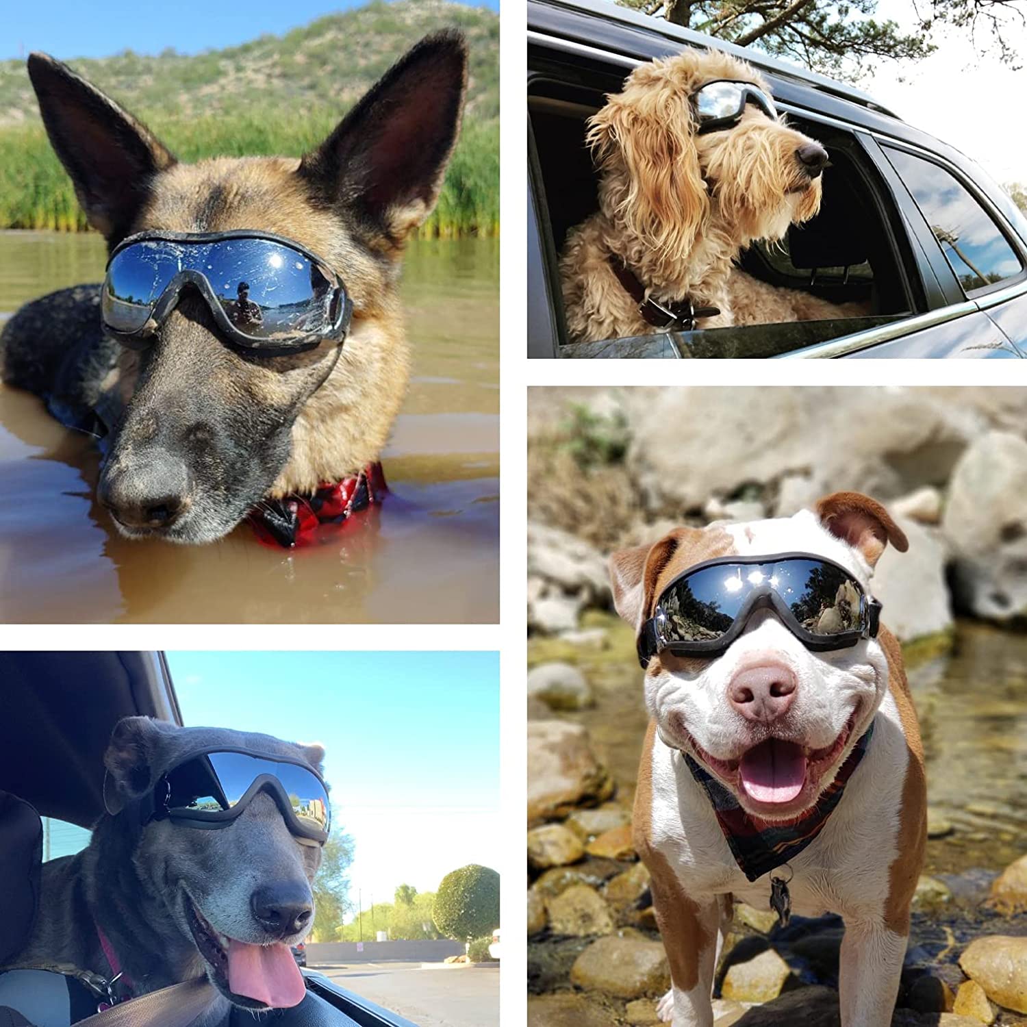 Dog Badass Sunglasses 0 My Store