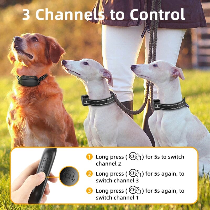 Electric Dog Training 3300ft Remote Control Collar 0 Barking Bears