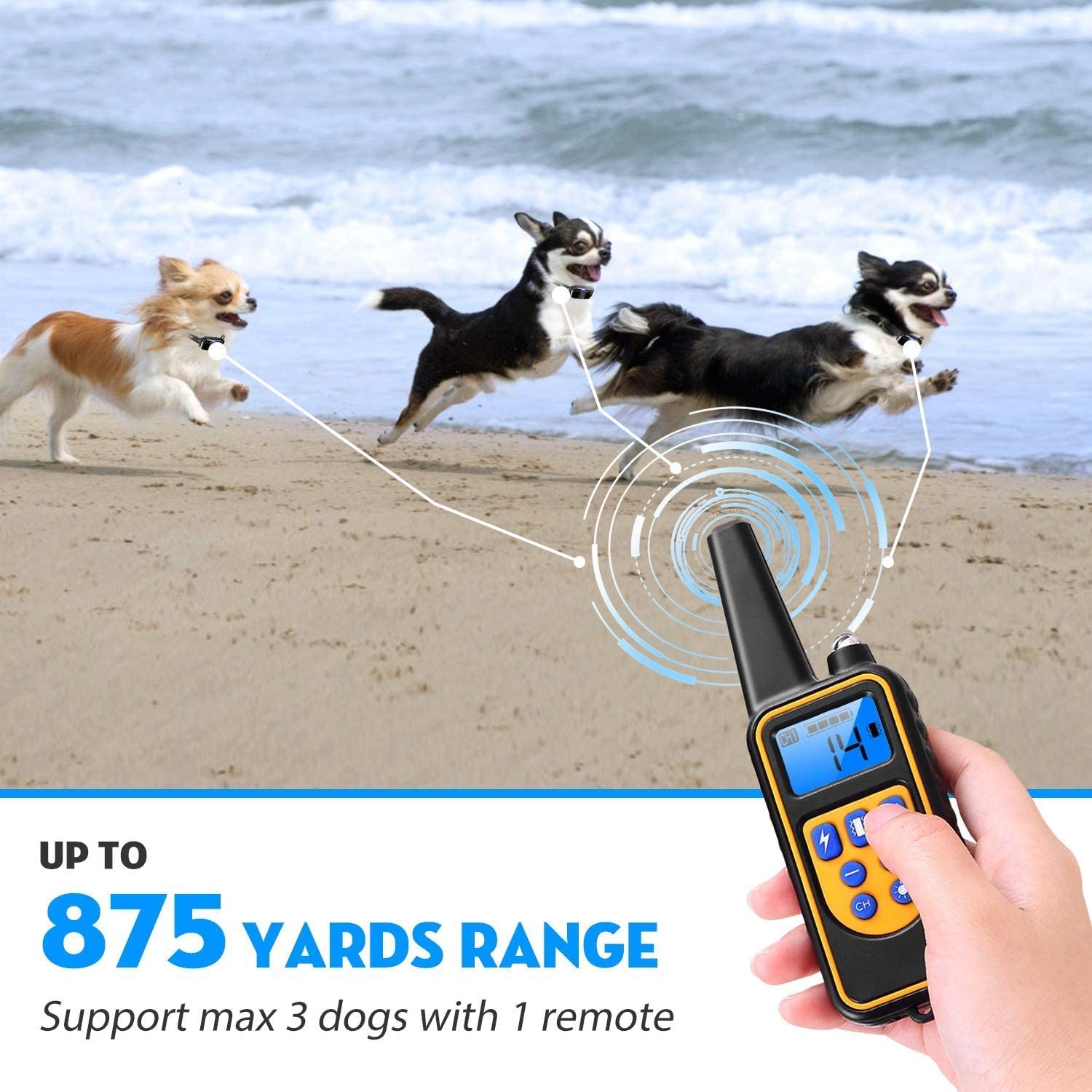 ELECTRIC DOG TRAINING COLLAR Barking Bears