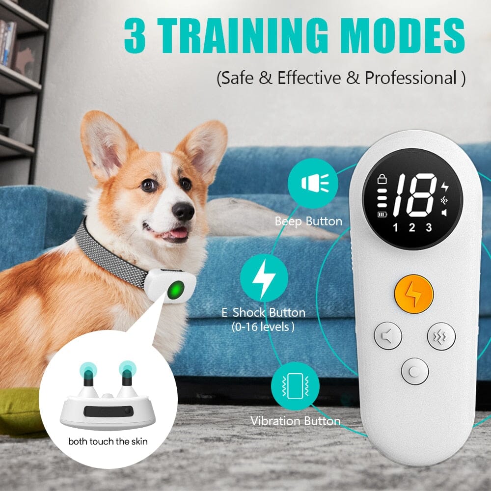 Electric Training Anti Bark Collar 0 Barking Bears