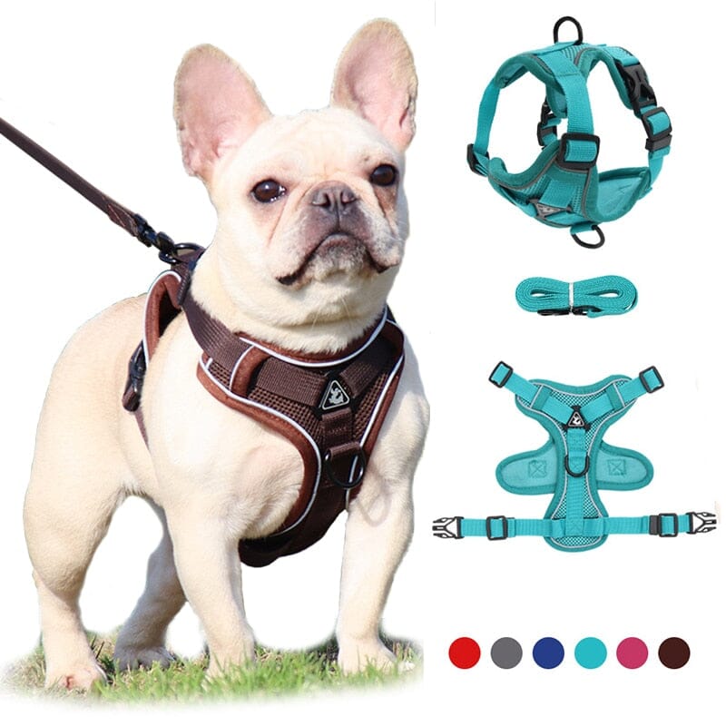 No Pull Dog Harness and Leash Set Adjustable 0 My Store