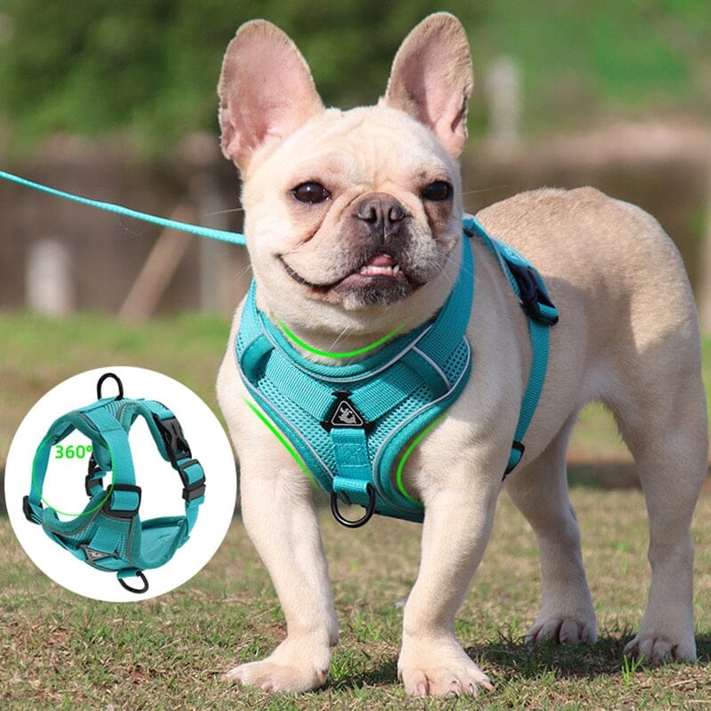 No Pull Dog Harness and Leash Set Adjustable 0 My Store