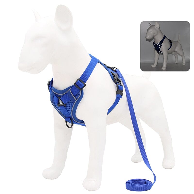 No Pull Dog Harness and Leash Set Adjustable 0 My Store Blue S 2-4 kg