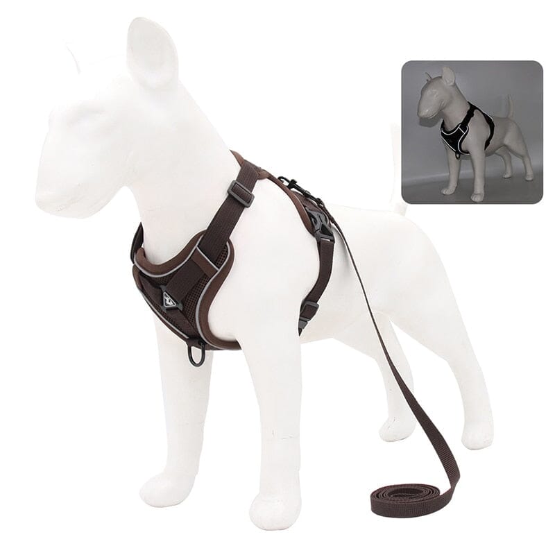 No Pull Dog Harness and Leash Set Adjustable 0 My Store Coffee S 2-4 kg