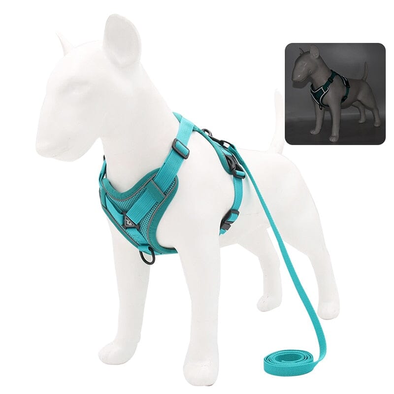 No Pull Dog Harness and Leash Set Adjustable 0 My Store Cyan S 2-4 kg