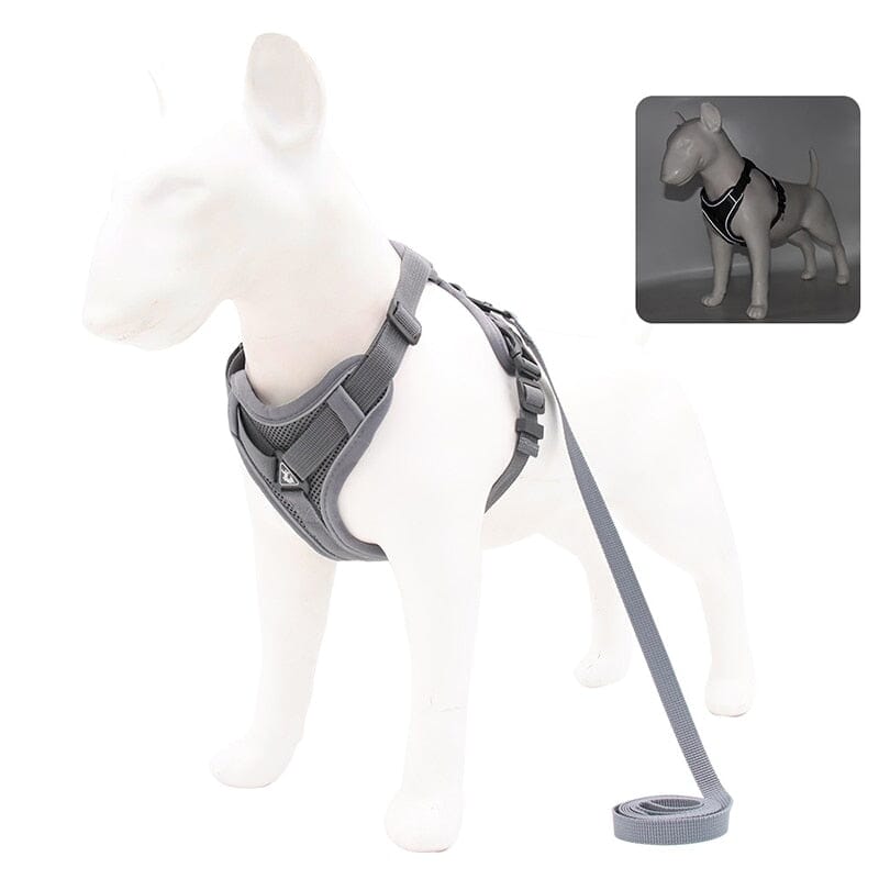 No Pull Dog Harness and Leash Set Adjustable 0 My Store Gray S 2-4 kg