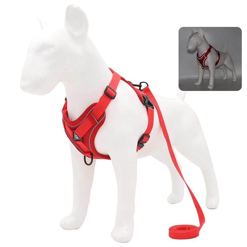 No Pull Dog Harness and Leash Set Adjustable 0 My Store Red S 2-4 kg