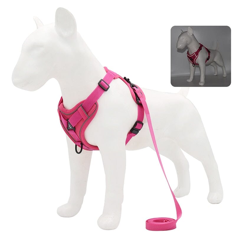 No Pull Dog Harness and Leash Set Adjustable 0 My Store Rose Red S 2-4 kg