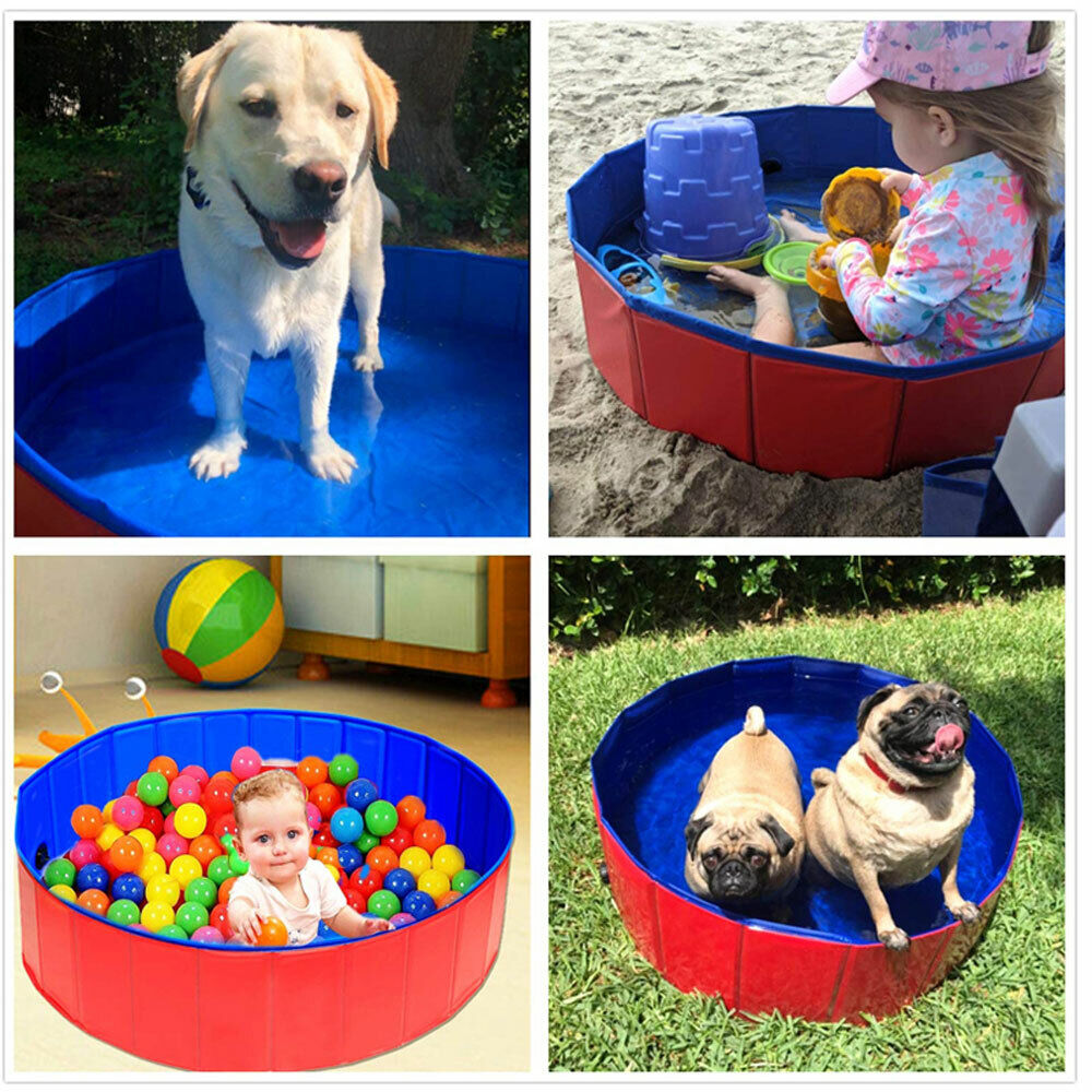PoochPlunge  Oasis