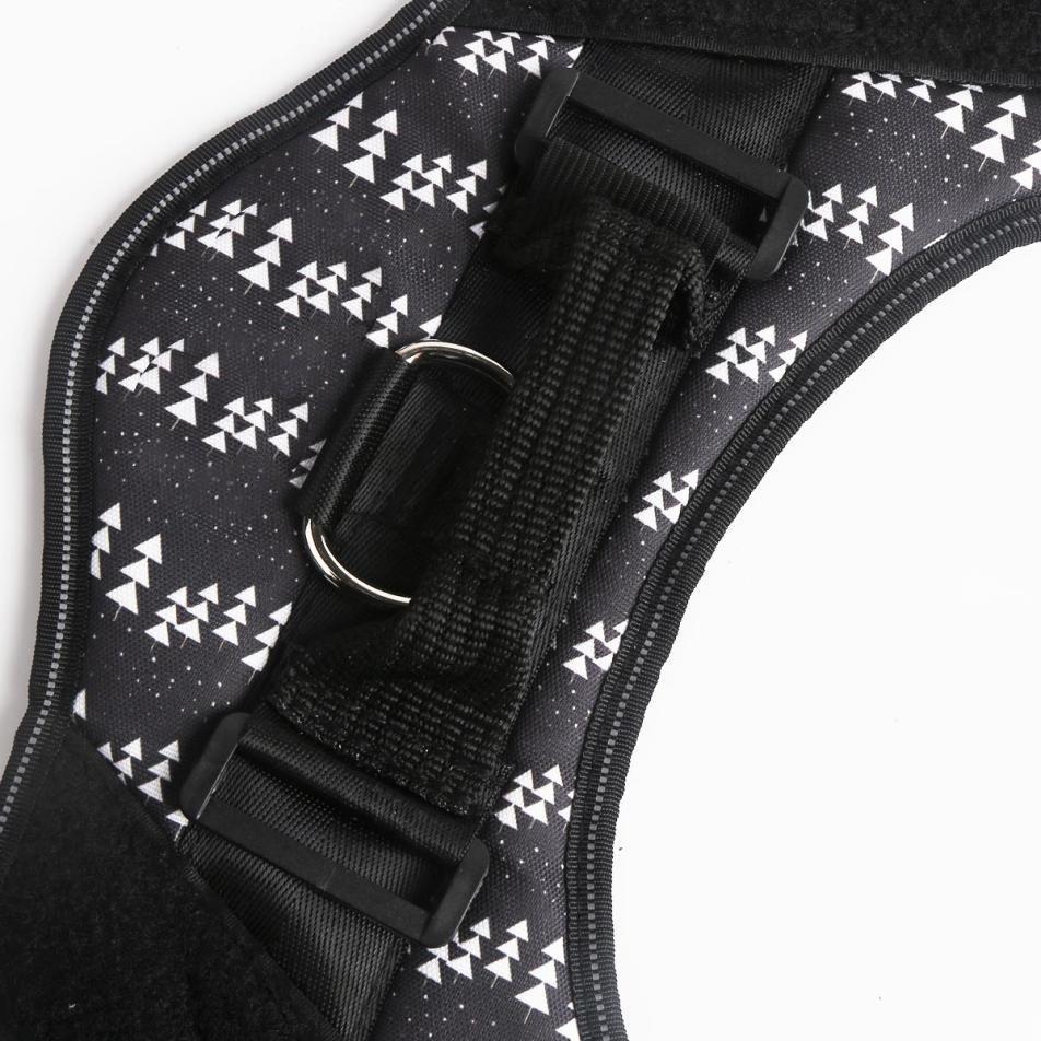 Personalised No Pull Dog Harness 0 Barking Bears
