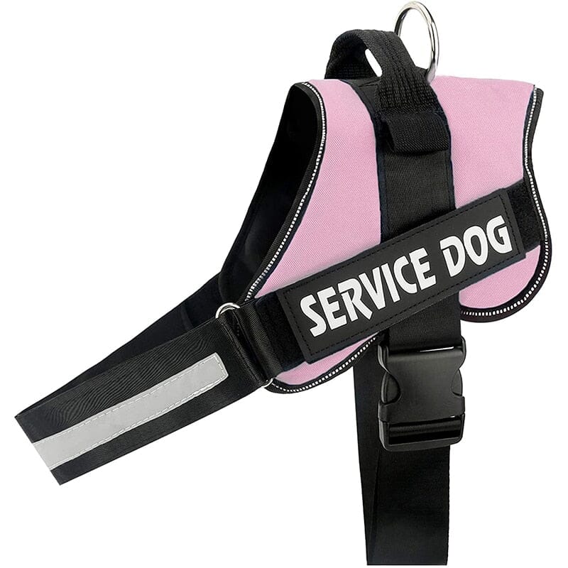 Personalised No Pull Dog Harness 0 Barking Bears