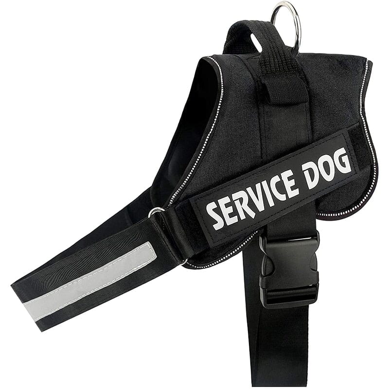 Personalised No Pull Dog Harness 0 Barking Bears Black XS