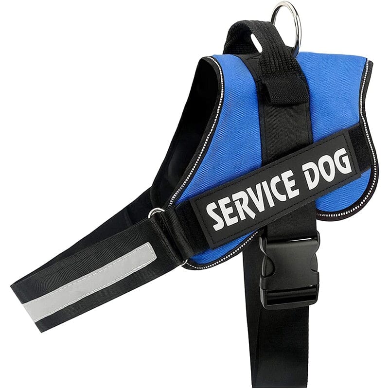Personalised No Pull Dog Harness 0 Barking Bears Blue XS