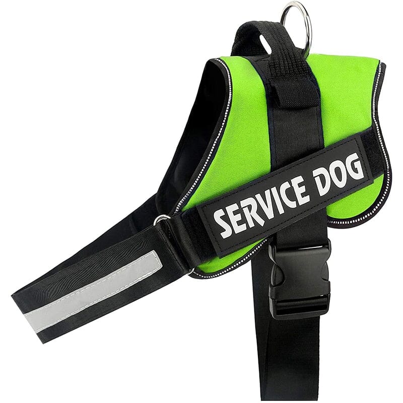 Personalised No Pull Dog Harness 0 Barking Bears Green XS