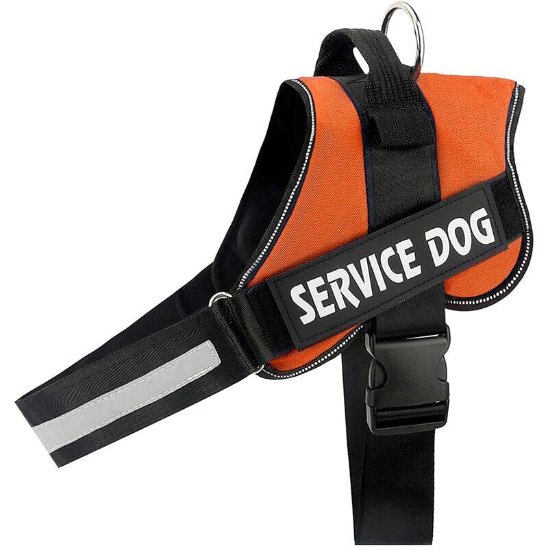Personalised No Pull Dog Harness 0 Barking Bears Orange XS
