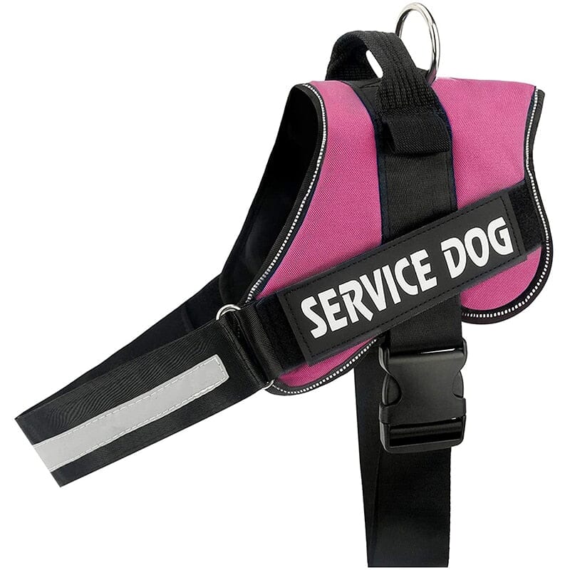 Personalised No Pull Dog Harness 0 Barking Bears Pink XS