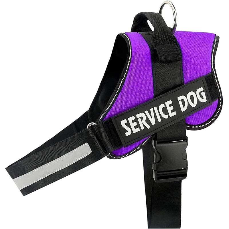 Personalised No Pull Dog Harness 0 Barking Bears Purple XS
