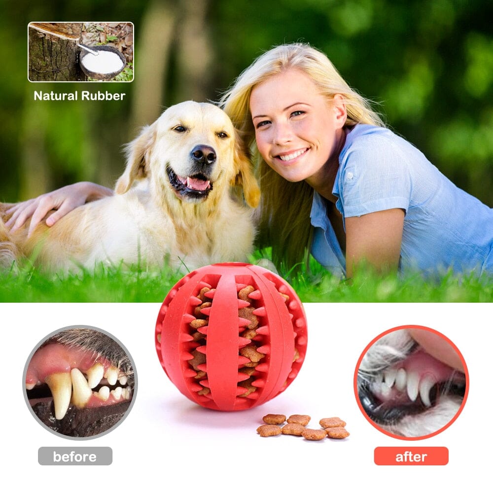 Pet Dog Toy Interactive Rubber Balls Chewing Toys 0 My Store