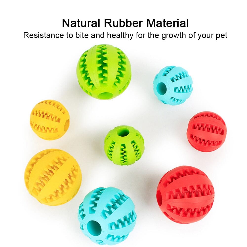 Pet Dog Toy Interactive Rubber Balls Chewing Toys 0 My Store