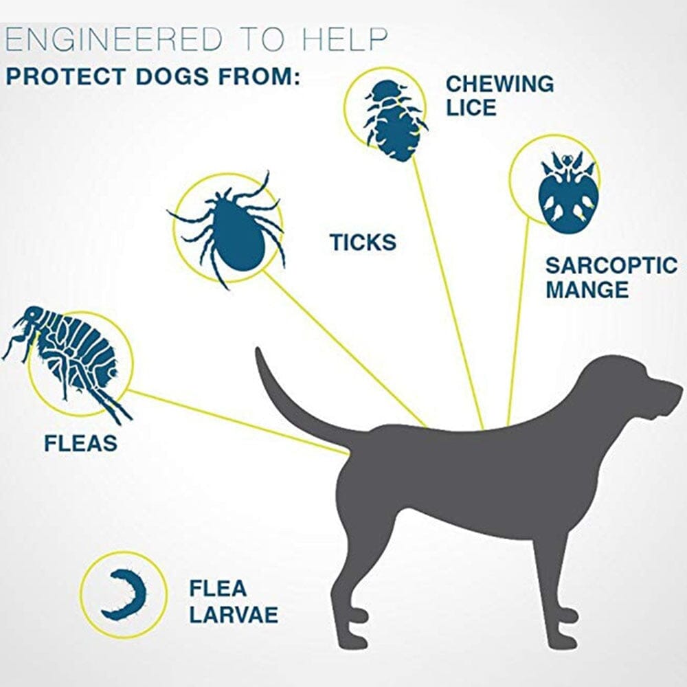 Pet Flea and Tick Collar 0 My Store