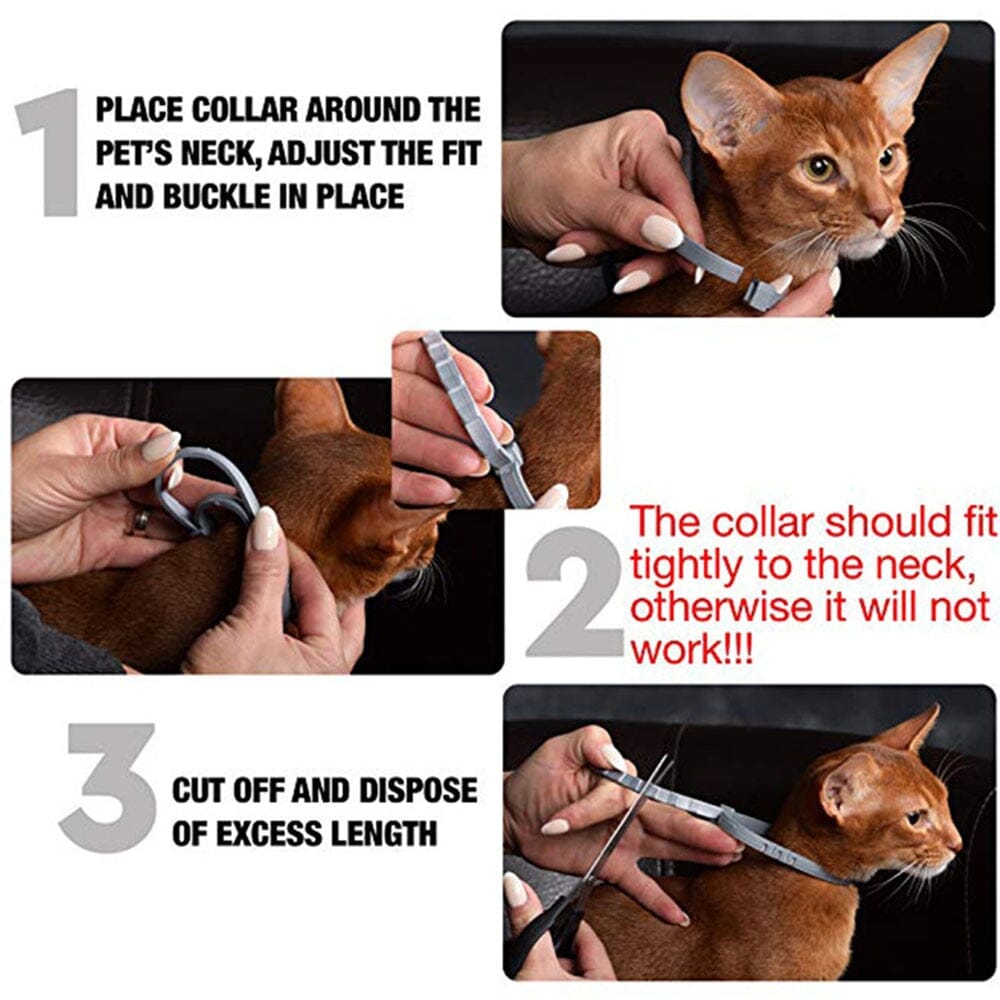 Pet Flea and Tick Collar 0 My Store