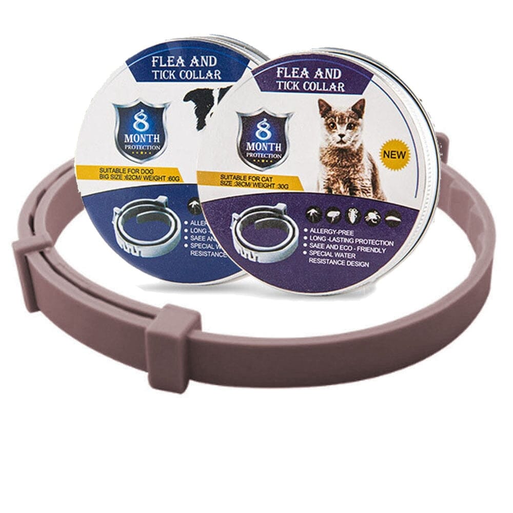 Pet Flea and Tick Collar 0 My Store coffee box package 38cm for cats