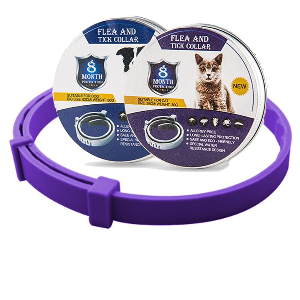 Pet Flea and Tick Collar 0 My Store purple box package 38cm for cats