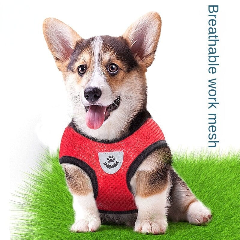 Pet Harness Adjustable Mesh Vest Walking Lead Leash 0 My Store