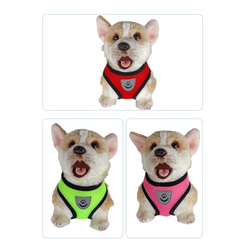 Pet Harness Adjustable Mesh Vest Walking Lead Leash 0 My Store