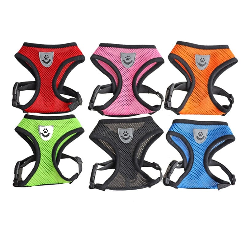 Pet Harness Adjustable Mesh Vest Walking Lead Leash 0 My Store