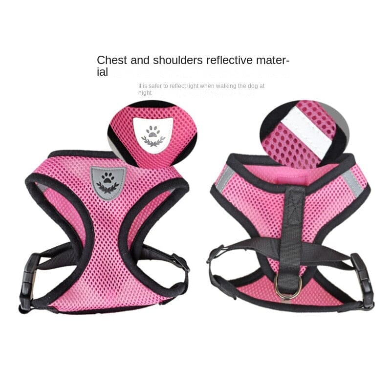 Pet Harness Adjustable Mesh Vest Walking Lead Leash 0 My Store