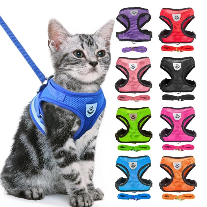 Pet Harness Adjustable Mesh Vest Walking Lead Leash 0 My Store