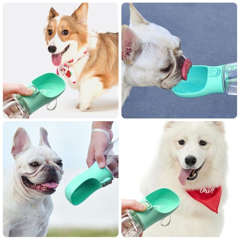Portable Dog Water Bottle Outdoor Bowl 0 My Store