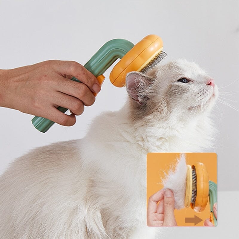 Pumpkin Brush Self Cleaning Slicker Comb 0 My Store