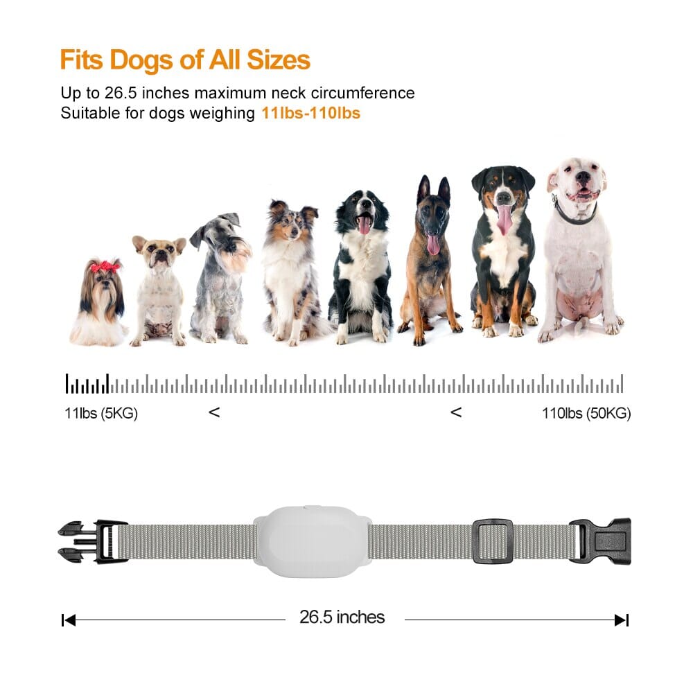 Remote Control Dog Training Collar Beep Vibration Trainer upto 300Meters 0 Barking Bears