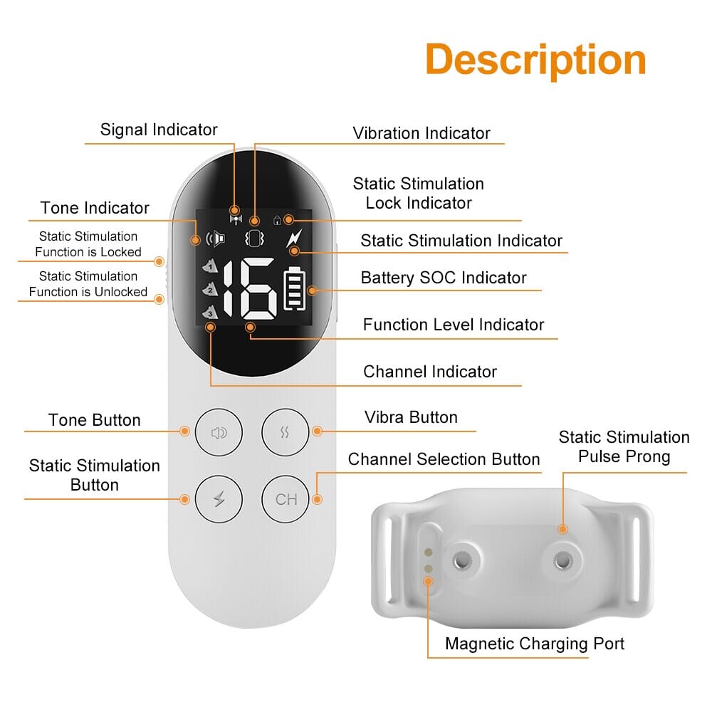 Remote Control Dog Training Collar Beep Vibration Trainer upto 300Meters 0 Barking Bears