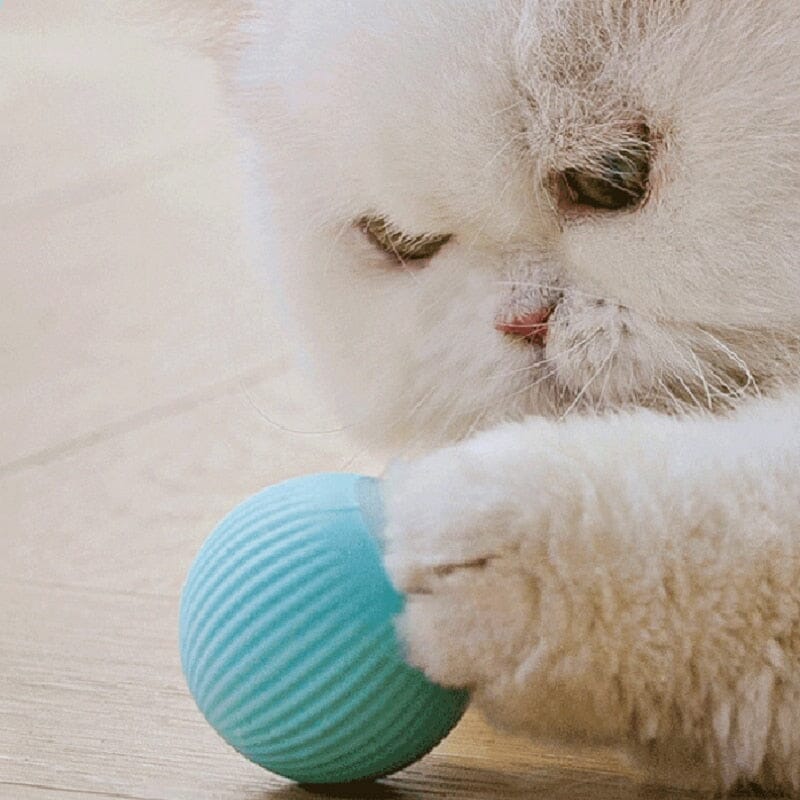 Smart Cat Toys Automatic Rolling Ball Electric Cat Toys 0 My Store
