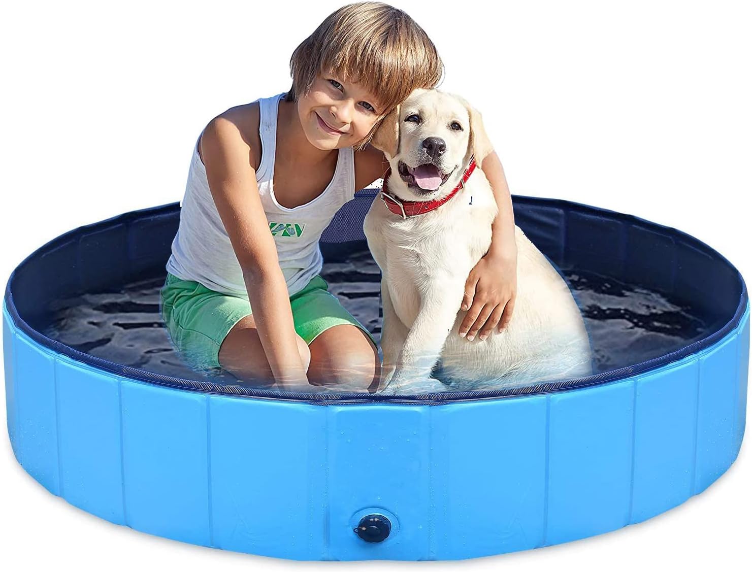 PoochPlunge  Oasis