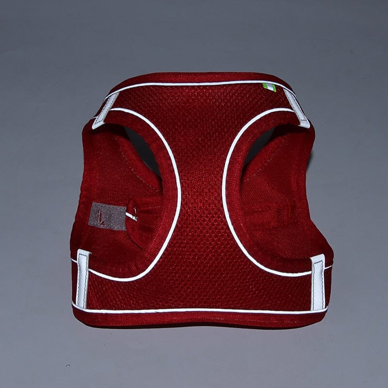 Adjustable Puppy Cat Harness Vest Walking Lead Leash 0 My Store 