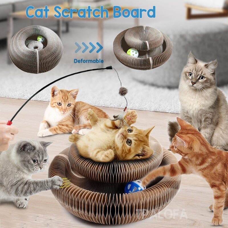 Cat Magic Organ Scratching Board Toys With Catnip Ball 0 My Store 