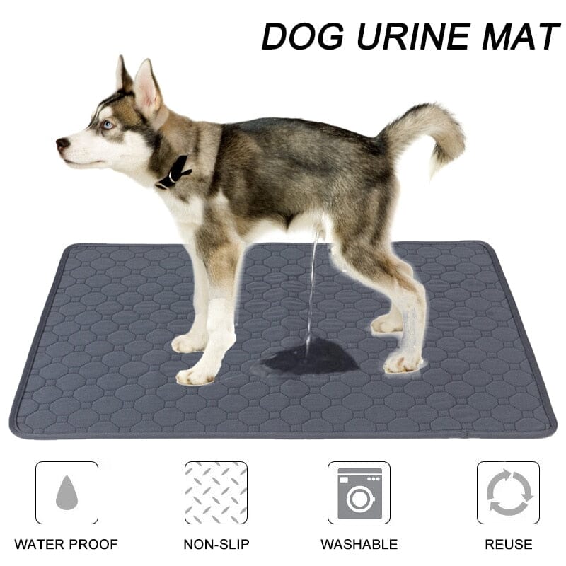 Dog Pee Pad Blanket Reusable Absorbent Diaper 0 Barking Bears 